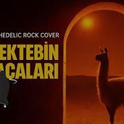 MEKTEBİN BACALARI Hypnotic Kraut Rock