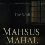 Mahsus Mahal Psychedelic Anatolian Rock Cover