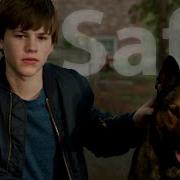 Multifandom Animals Safe