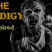 THE PRODIGY VIBES CHAOS MIX
