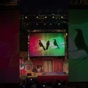 Легендарный клип с концерта Снупи на крыше 9 Robot Boogie End и Singing Bird Trio в KBF Калифор