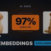Embeddings Vector Databases Explained