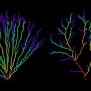 Optimizing Shortest Path Networks Houdini Tutorial