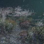 Unity Point Cloud HDRP