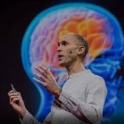 Your Brain Hallucinates Your Conscious Reality Anil Seth TED