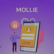 Mollie Payments Integration Everest Forms For WordPress
