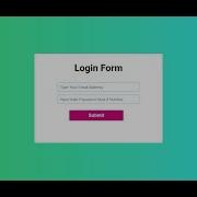 Email Password Validation Check Using Vanilla Javascript