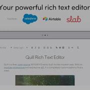 Quill Rich Text Editor