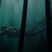 Water On Skin The Art Of Wild Diving