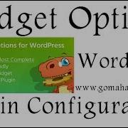 Widget Options WordPress Plugin Setting 2018