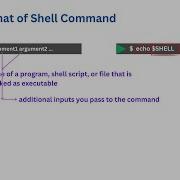 Understanding The Basic Format Of Shell Commands Arguments And Variables Explained