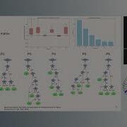Siu Kwan Lam Numba V2 Towards A SuperOptimizing Python Compiler SciPy 2025