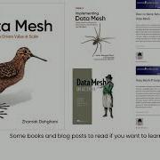 So You Want To Build A Data Mesh Coalesce 2025