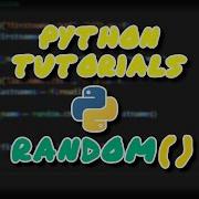 Python 3 11 Random Module