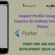 Flutter Import Profile Images Form Camera And Gallery Image Picker 25
