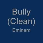Bully Clean