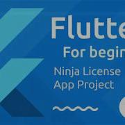 Flutter Tutorial For Beginners 15 Ninja ID Project