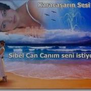 Sibel Can Canım Seni Istiyor