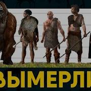 Вымершие виды Человека Неудачные конкуренты Эволюции
