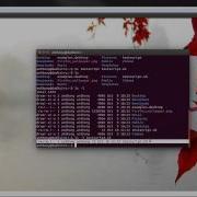 Intro To Linux Commands Part 2
