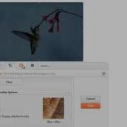 Mathematica How To How To Use The Image Assistant