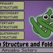 Protein Structure And Folding