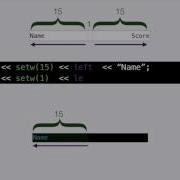 C Output With Setw Left And Right Alignment