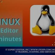 Редактор VI для Linux за 15 минут Скриптинг командной оболочки Команды Linux IT Expert Syst