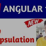 View Encapsulation In Angular 12 View Encapsulation In Angular 12 Tutorial And Guides Encapsulat