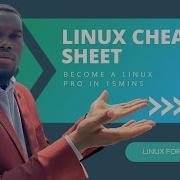 Stop Wasting Time Learn These Essential Linux Commands For Engineers Today