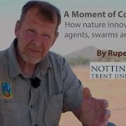 A Moment Of Convergence How Nature Innovates Through Agents Swarms And Algorithms