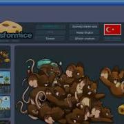 Transformice Trambolin Hack