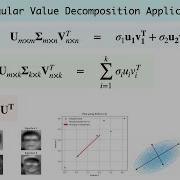 SVD Applications Pseudo Inverse Low Rank Rep PCA Eigenfaces Example Problem Python Code
