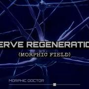Nerve Regeneration Heal Damaged Brain Cells Morphic Field Powerful Energy Programming