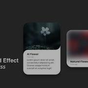Create Blur Image Card UI Design With Hover Effect Using HTML CSS Mrcodebox33