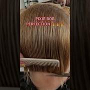 PIXIE BOB CUT PERFECTION Full Tutorial Linked Below