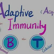 Adaptive Acquired Immunity Immunology Biology Of Immune System