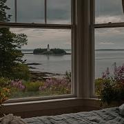 Relaxing Summer Rain In Coastal Maine Calm Rain Ambience For Reading Sleeping Etc