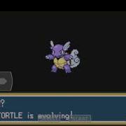 My Wartortle Evolves Into Blastoise