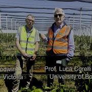 Narrow Orchard Systems Leader Development Tatura SmartFarm February 2026