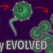 Abyssal Genesis An EvoLife Evolution Saga