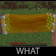 Minecraft Wait What Meme Part 35 Realistic Honey Block