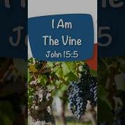 John 15 5 Bible Memory Verse Song For Kids Scripture Song About GROWING IN CHRIST