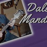 2005 Sim Daley F 5 Mandolin Instrument Demo
