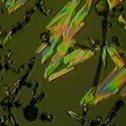 Polymorphism McCrone Research Institute Chicago