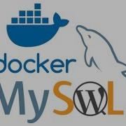 Docker 101 Linking Containers