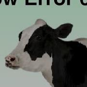 Cow Error 656