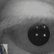 Torsional Flutter Video