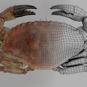 Tutorial SHOWCASE Your 3D Models LIKE A PRO How To Render Stunning WIREFRAMES In Blender