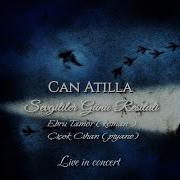 Vivaldi İstanbul Da